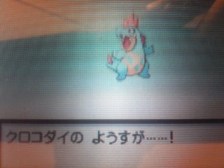 ポケモンhg コガネシティ突入 ーもう絵あわせ下手っぽとは言わせないー ユズル的ブログッサー