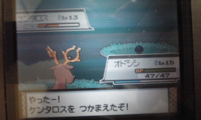 ポケモンhg エンジュシティからアサギシティへ ケンタロスのゲットに苦戦したり伝説ポケモンと遭遇したり ユズル的ブログッサー